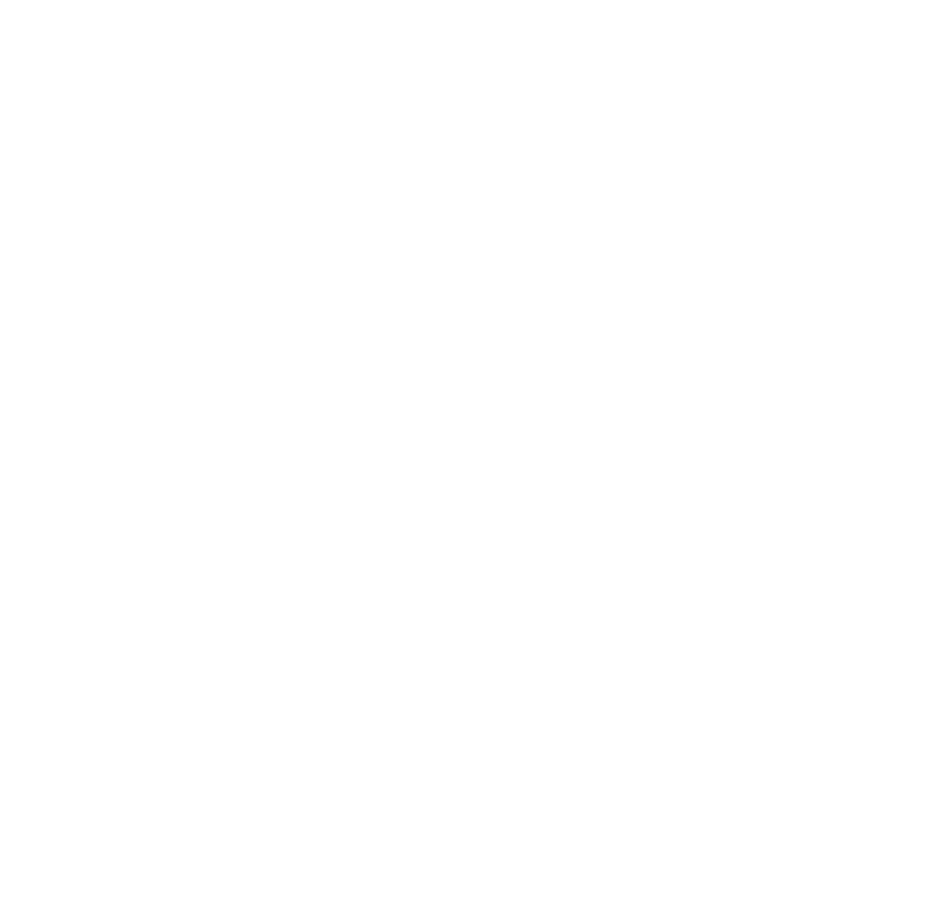 PPS Logo